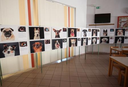 POGLEJ ME V OČI RAZSTAVA V OŠ RAKEK 01 FOTO LJUBO VUKELIČ